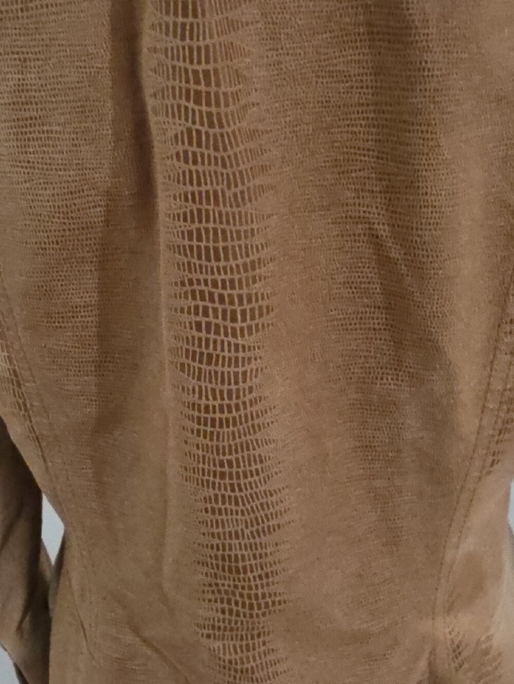 Classiques Entier Lizard-Embossed Suede Jacket (Size 4) - Picture 6 of 10